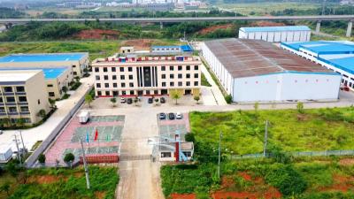 视频｜湖北康利农生物科技公司：小鸡蛋催生大文章