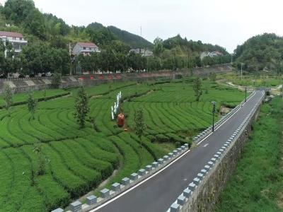 视频｜檀林镇槐树村被评为湖北省旅游名村