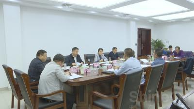 视频｜陈丹主持召开政府专项债券项目谋划储备会