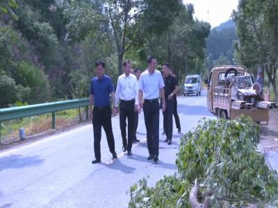 视频｜蕲春向乡村领域不正之风亮剑