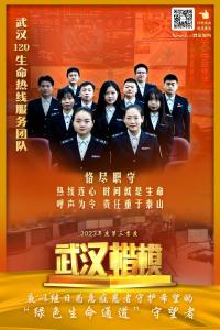 武汉楷模 奔赴热爱