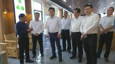 视频｜ 国家知识产权局来蕲调研