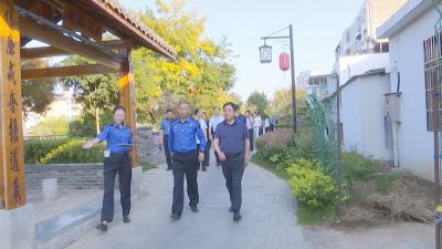 视频｜县人大常委会视察城区园林绿化工作