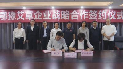 视频｜ 河南省科协来蕲调研