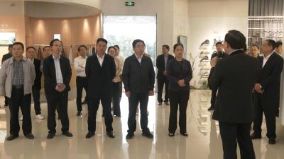 视频｜县人大常委会开展优化营商环境工作专题询问