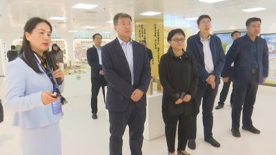 视频｜吉林大学来蕲调研校地合作
