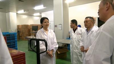 视频｜陈丹到黄石市黄石港区开展区域协作对接交流