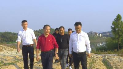 视频｜蕲州邱山村：乡贤回村共话发展新路径
