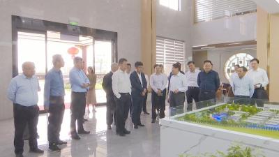 视频｜山东扁鹊中医药健康产业集团来蕲考察中医药大健康产业发展