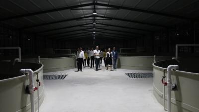 视频｜蕲春：工厂化生态养殖 推进水产业提档升级