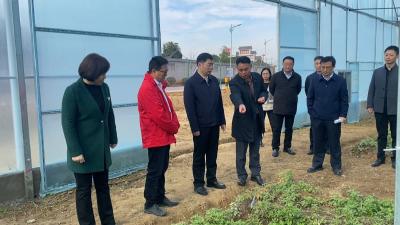 视频｜省工商联副主席杨兴铭来蕲调研“两个健康”先行区创建及“万企兴万村”工作