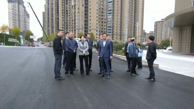 视频｜陈丹调研美丽城乡建设和城市品质提升工作