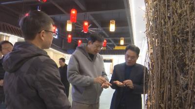 视频｜武汉大学质量发展战略研究院来蕲调研