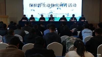 视频｜赤龙湖国家湿地公园开展保护野生动物宣传月活动