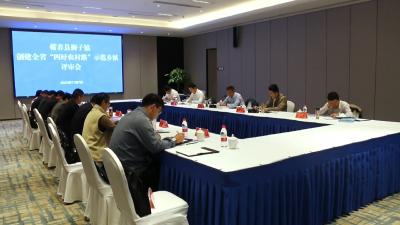 视频｜狮子镇创建全省“四好农村路”示范乡镇
