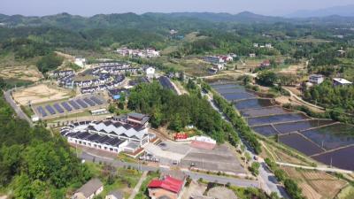 视频｜ 青石镇入选2023年国家级全域森林康养试点建设镇