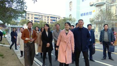视频｜陈丹调研教育 卫生 食品安全等民生领域重点工作