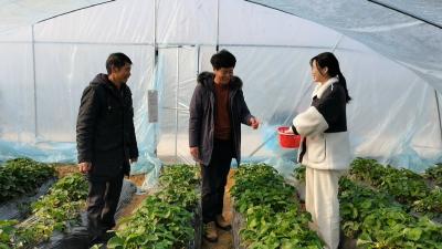 视频｜陈中良：盘活土地结硕果