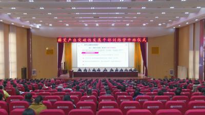 视频｜县委县政府举办蕲艾产业突破性发展干部训练营