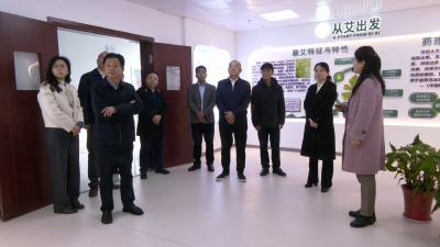 视频｜长江产业投资集团来蕲春考察对接项目落地事宜