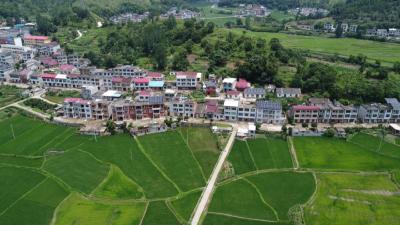 视频｜张塝镇塔林村跻身全省综合减灾示范社区（村）