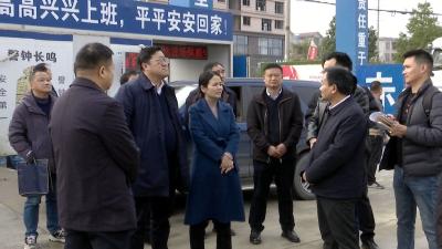 视频｜陈丹调研蕲艾数智云仓项目建设