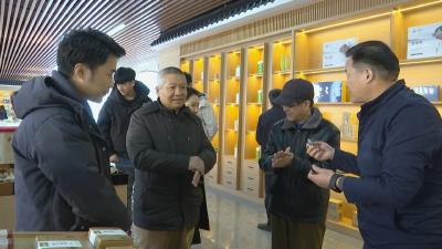 视频｜中国红十字总会事业发展中心来蕲调研乡村振兴系列公益项目