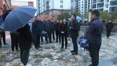视频｜陈丹到漕河镇六方小镇下访接访