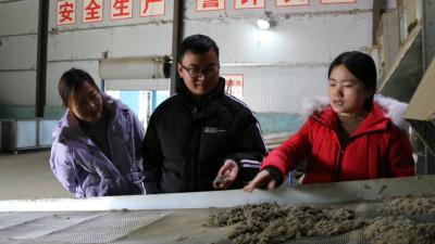 视频｜陈叶：让乡亲们走上蕲艾致富路