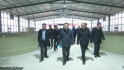 视频｜胡安元调研督办赤东湖水质提升工作