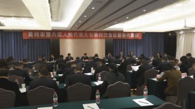 视频｜蕲春代表团召开全体会议