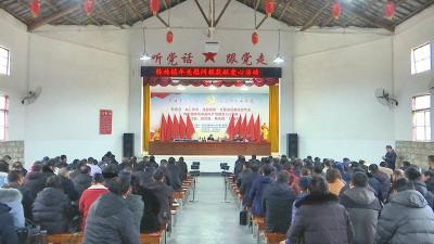 视频｜株林镇党员干部献爱心