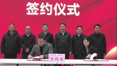 视频｜蕲艾品牌全球征集活动在汉启动