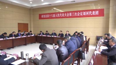 视频｜蔡寿益参加刘河代表团审议