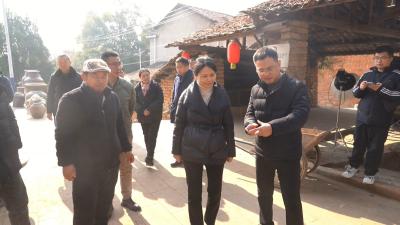 视频｜ 陈丹调研安全生产 环保整改 巡林巡江 乡村振兴发展等工作