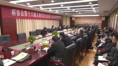 视频｜胡安元 陈丹等县领导参加特邀代表团审议