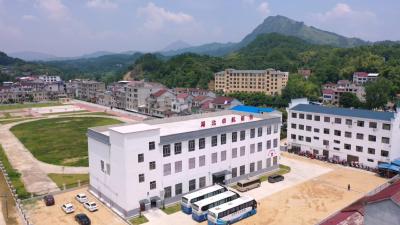 视频｜大同镇：服务企业发展  群众就业增收