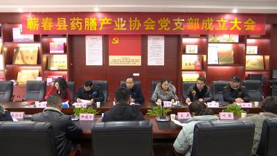 视频｜蕲春县药膳产业协会党支部成立