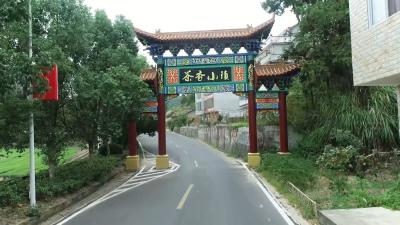 视频｜檀林镇槐树村入榜湖北旅游名村