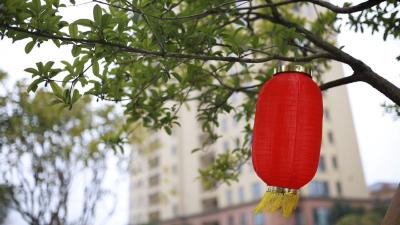 视频｜春节海采：畅谈新年心愿