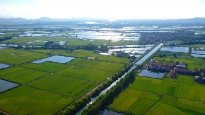 视频｜蕲春：持之以恒防返贫抓衔接 乡村振兴不断深入