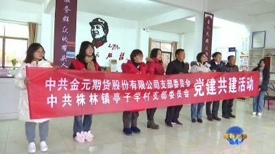 视频｜国企金元期货助力株林镇乡村振兴
