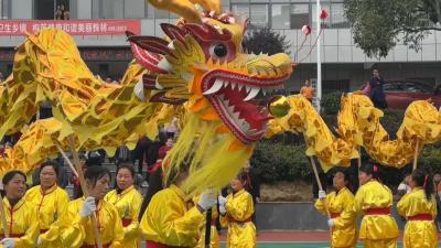 视频｜ 株林镇：金龙闹新春