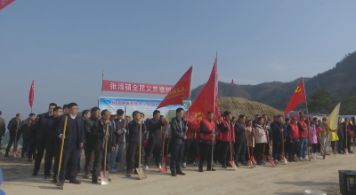 视频｜“植”此青绿 共建家园（张塝镇）