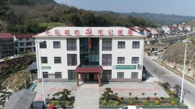 视频｜檀林镇河东村：打造农村综合服务样板村 亮点村