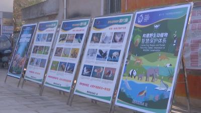 视频｜ 蕲春开展“世界野生动植物日”宣传活动