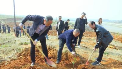 视频｜县民政局到驻点村开展义务植树