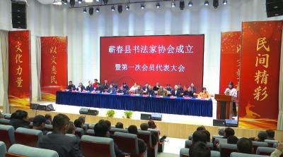 视频｜蕲春县书法家协会成立