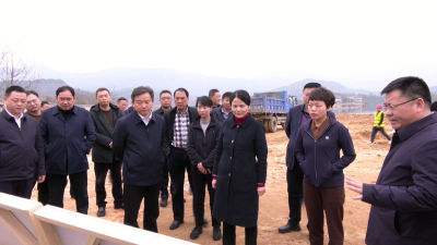视频｜蕲春考察团赴武穴考察学习多彩旅游路建设工作
