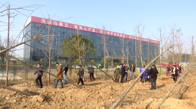 视频｜“植”此青绿 共建家园（蕲春经济开发区）